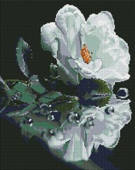 Купити Алмазна мозаїка 40x50 см. Біла троянда  в Україні