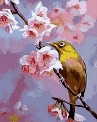 Купить Картина по номерам. Колибри на яблоневой ветке  в Украине