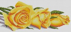 Купити Алмазна вишивка Троянди в росі  в Україні