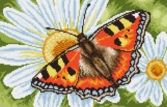 Купити Набір діамантової мозаїки Метелик на ромашці  в Україні