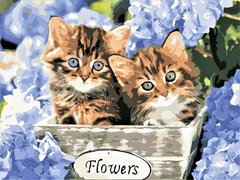 Купить Картина по номерам. Котята в цветах  в Украине