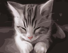 Купити Картина за номерами Сонне кошеня  в Україні