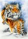Алмазная мозаика. Семья тигров, Без подрамника, 55 х 40 см