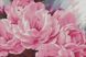 Набор алмазной живописи Розовые пионы, Без подрамника, 50 х 75 см