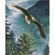 Алмазна мозаїка. Вільний орел (40 х 50 см, набір для творчості, картина стразами), З підрамником, 40 х 50 см