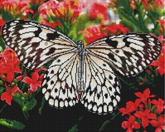 Купити Алмазна мозаїка за номерами (на підрамнику). Метелик на квітах  в Україні