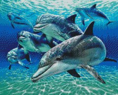 Купить Алмазная мозаика на подрамнике. Дельфины  в Украине