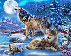 Купити Алмазна мозаїка на підрамнику. Зграя вовків у зимку (40 x 50 см)  в Україні