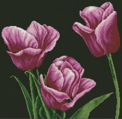 Купити Діамантовий живопис Фіолетові тюльпани  в Україні