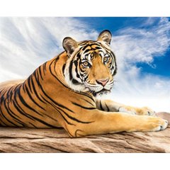Купити Алмазна картина на підрамнику, набір для творчості. Сибірський тигр розміром 40х50 см (квадратні камінчики)  в Україні