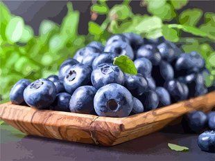 Купити Картина за номерами без коробки. Соковита чорниця  в Україні
