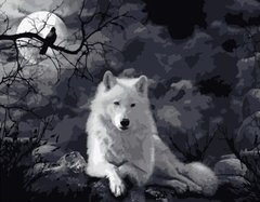 Купити Картина за номерами Білий вовк  в Україні