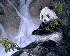 Купити Картина за номерами. Панда з бамбуком  в Україні