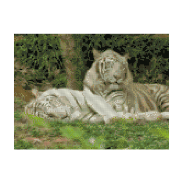 Купити Алмазна мозаїка по номерам круглими камінчиками (на підрамнику). Відпочинок білих тигрів  в Україні