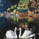 Картина раскраска по цифрам. Волшебные лебеди Маленькая (Без коробки), Без коробки, 30 х 30 см