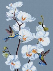 Купити Набір для малювання по цифрам. Квітучі орхідеї ©annasteshka  в Україні