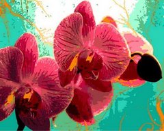 Купити Картина за номерами. Тропічна орхідея  в Україні