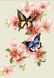 Діамантова мозаїка Метелики, Без підрамника, 28 х 40 см
