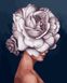 Картина за номерами. Дівчина-троянда. Емі Джадд, Подарункова коробка, 40 х 50 см