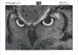 Картина из мозаики. Взгляд совы, Без подрамника, 45 х 30 см