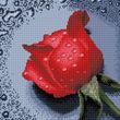 Набор алмазной мозаики на подрамнике 30х30 см. Красная роза