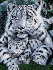 Купити Діамантова мозаїка Білі тигри  в Україні