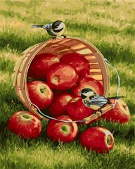 Купити Набір для малювання по цифрам. Синички і яблука (без коробки)  в Україні