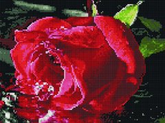 Купити Мозаїка за номерами (на підрамнику). Червона троянда  в Україні