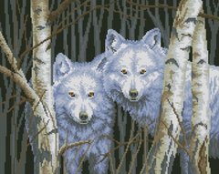 Купити Набір алмазної мозаїки Білі вовки  в Україні