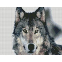 Купить Алмазная мозаика по номерам круглыми камешками (на подрамнике). Хороший волк  в Украине