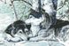 Мозаїка квадратними камінчиками Пара вовків, Без підрамника, 48 х 66 см