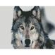 Алмазная мозаика по номерам круглыми камешками (на подрамнике). Хороший волк, С подрамником, 30 х 40 см