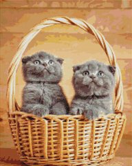 Купить Алмазная мозаика на подрамнике 40 х 50 см. Британские котята в корзинке (Набор для творчества)  в Украине