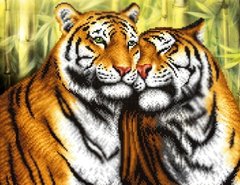 Купить Алмазная мозаика на подрамнике. Дикие тигры  в Украине