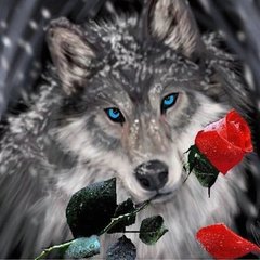 Купити Вишивка камінням за номерами Вовк з трояндою  в Україні