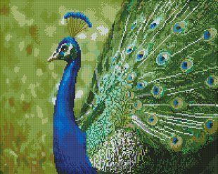 Купить Алмазная мозаика на подрамнике. Изумрудная пава (40 x 50 см, набор для творчества)  в Украине