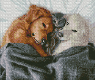 Купить Алмазная мозаика на подрамнике. Усатая семейка (30 х 40 см, круглыми камешками)  в Украине
