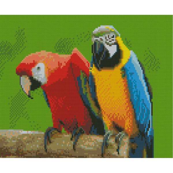 Купить Алмазная мозаика по номерам круглыми камешками (на подрамнике). Яркие попугаи  в Украине