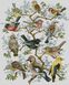 Алмазна мозаїка Дерево птахів, Без підрамника, 52 х 65 см