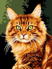 Купити Картина за номерами. Норвезька кішка  в Україні