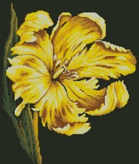Купити Діамантовий живопис Жовтий тюльпан  в Україні