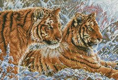 Купити Алмазна вишивка Пара тигрів  в Україні