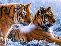 Купити Алмазна мозаїка на підрамнику. Тигри в зимовому лісі  в Україні