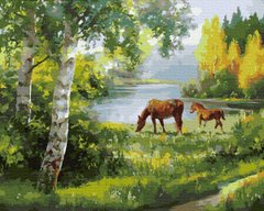 Купить Картина по номерам без коробки. Лошади на лугу  в Украине