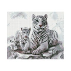 Купити Алмазная мозаїка на підрамнику. Білі тигри (круглими камінчиками, 30х40 см)  в Україні