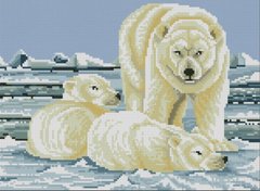 Купить Алмазная мозаика. Полярные медведи 27х37 см  в Украине