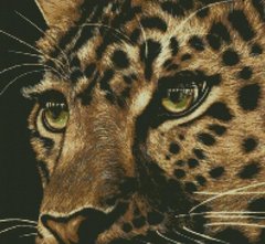 Купити Набір для алмазного живопису Леопард  в Україні