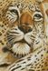 Алмазная мозаика по номерам. Ягуар, Без подрамника, 28 x 40 см