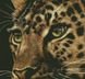 Набір для алмазного живопису Леопард, Без підрамника, 46 х 50 см