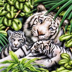 Купить Вышивка камнями по номерам Белая тигрица с тигрятами  в Украине